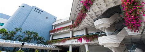 cityu scholarship
